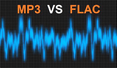 flac 음원, 디지털 음악의 진화와 그 의미